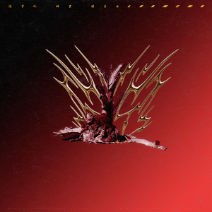 beeg美国少妇毛片
